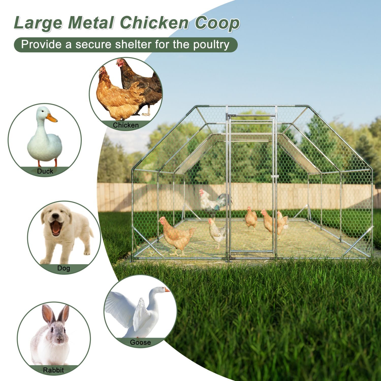 everyday Galvanized Walk-In Chicken Coop with Weatherproof Tarp & Lockable Doors
