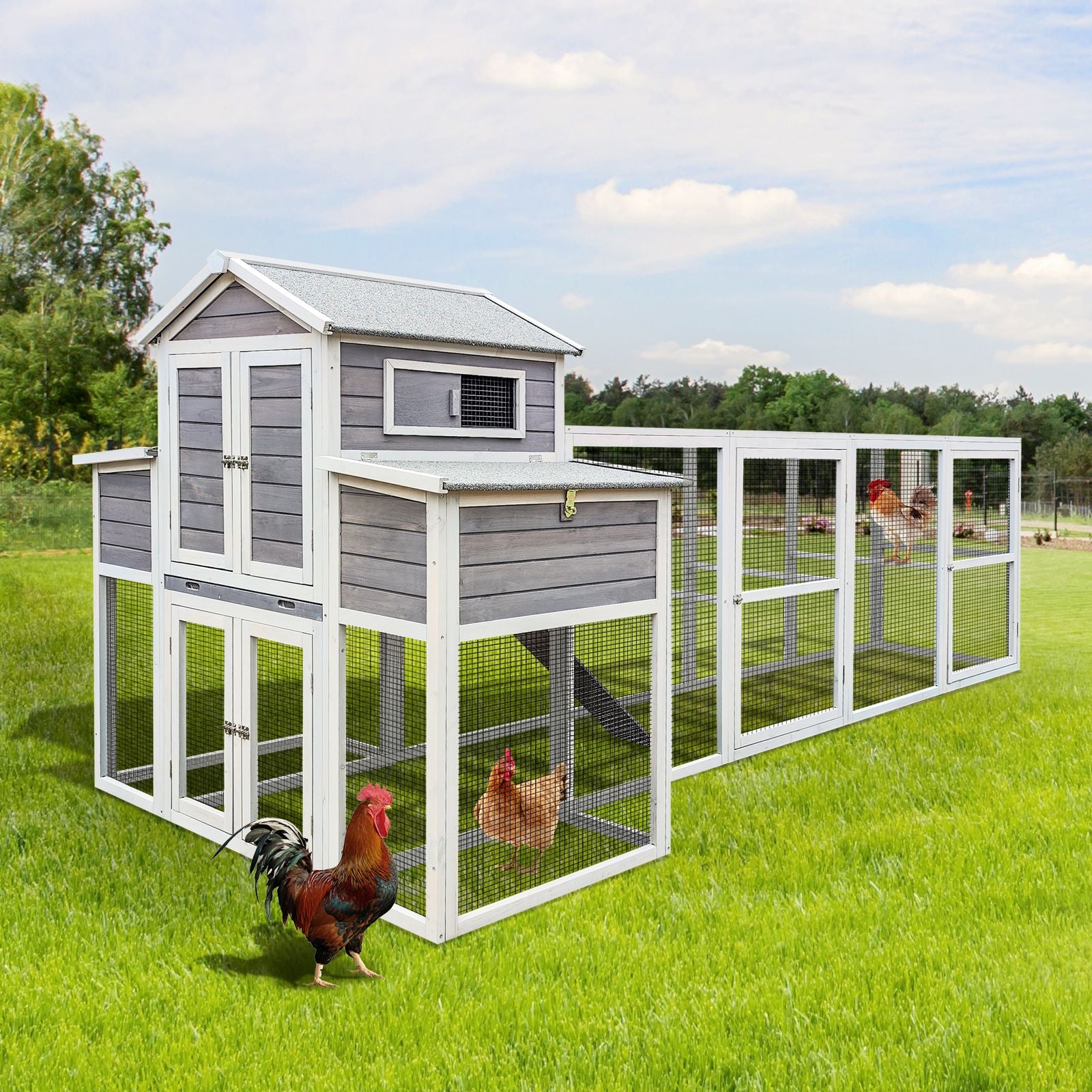 150" Extra Large Chicken Coop with Solid Fir furniture-style and Easy-Clean Tray