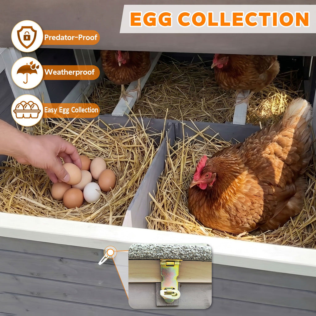 150" Extra Large Chicken Coop with Solid Fir furniture-style and Easy-Clean Tray