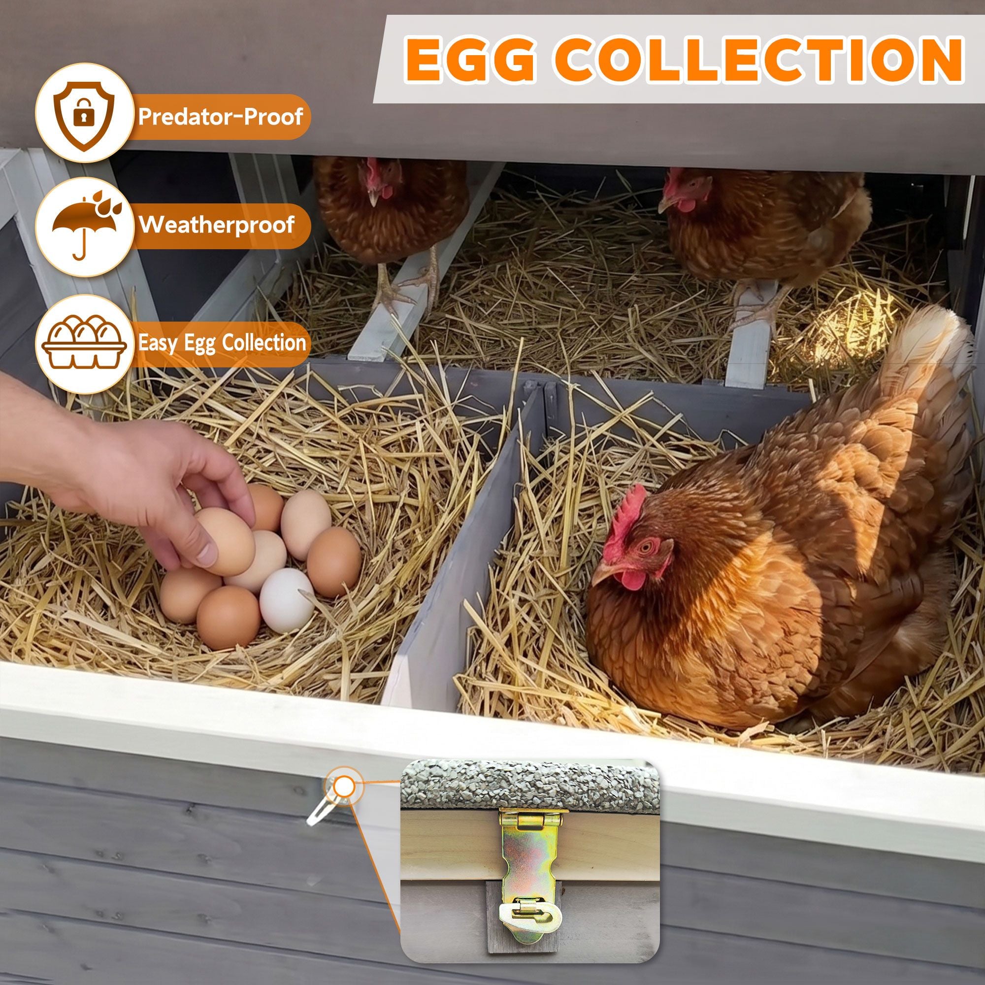 150" Extra Large Chicken Coop with Solid Fir furniture-style and Easy-Clean Tray