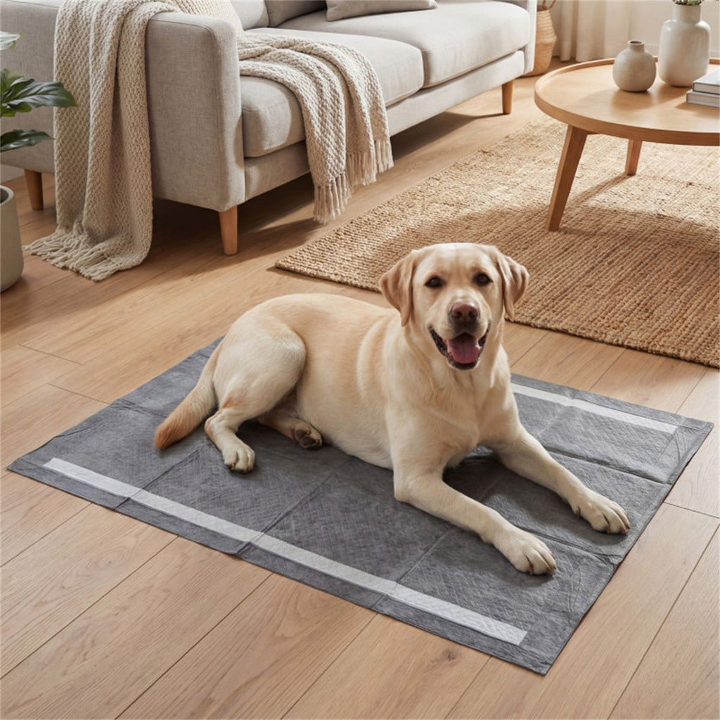 150 Pack Activated Carbon Dog Pee Pads 35.5"x24", Extra Large 6-Layer Odor Control Pet Training Pads