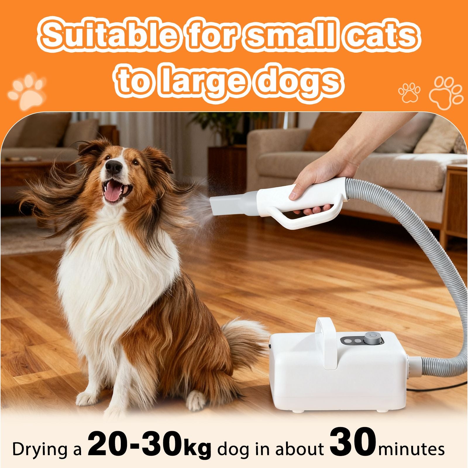 Powerful 1550W Pet Blow Dryer with Adjustable Speed & Temperature