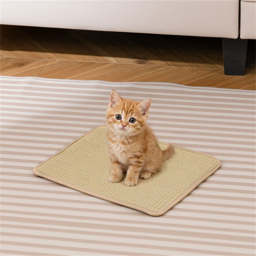 16 x 12 Inch Natural 6-Piece Cat Scratching Mats, Sisal Material Anti-Slip Latex Backing Furniture Protector