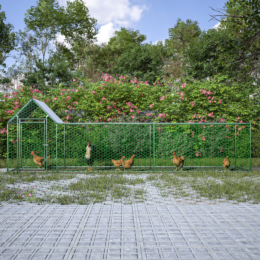 Large structured Chicken Coop Run with everyday structured Frame and PE Cover