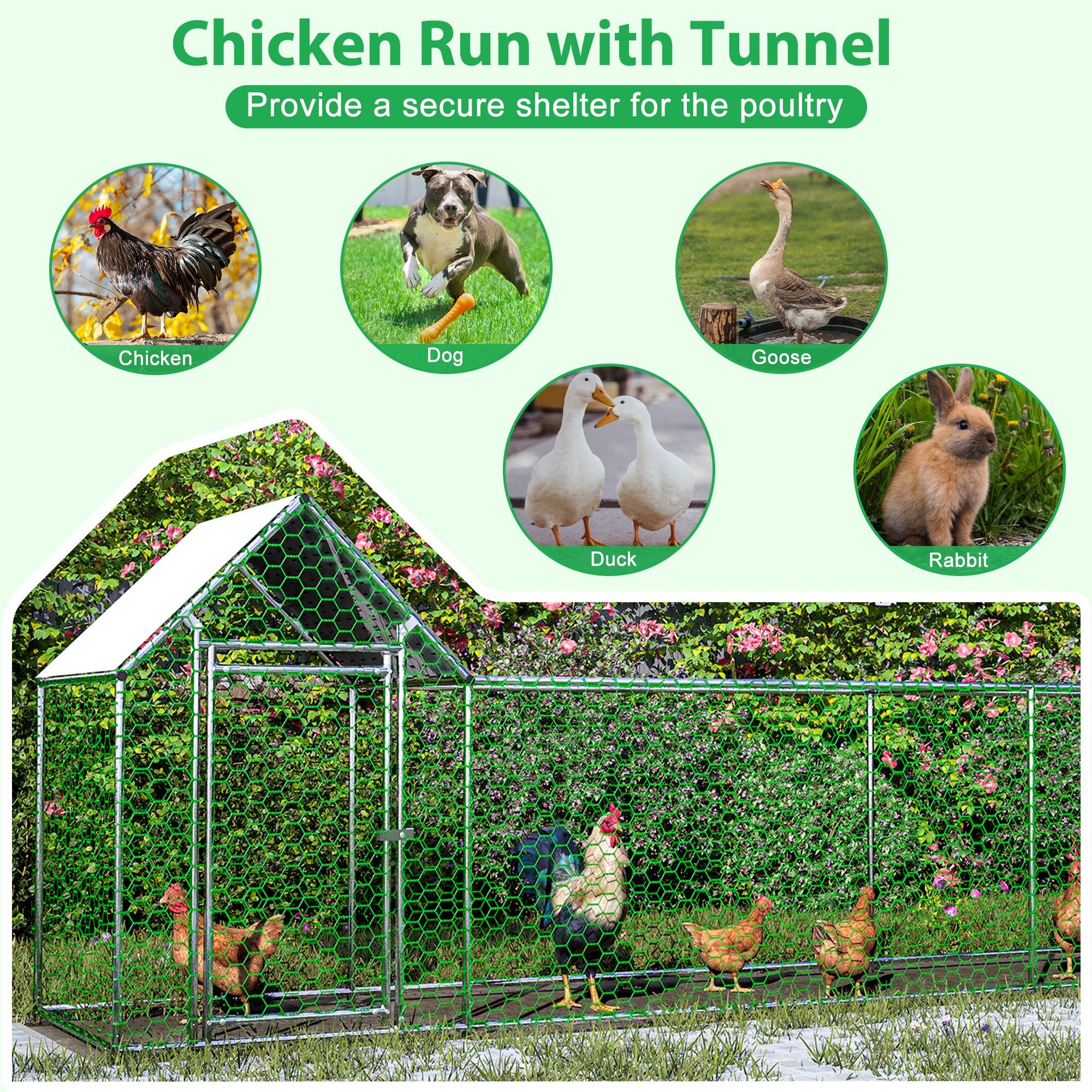 Large structured Chicken Coop Run with everyday structured Frame and PE Cover