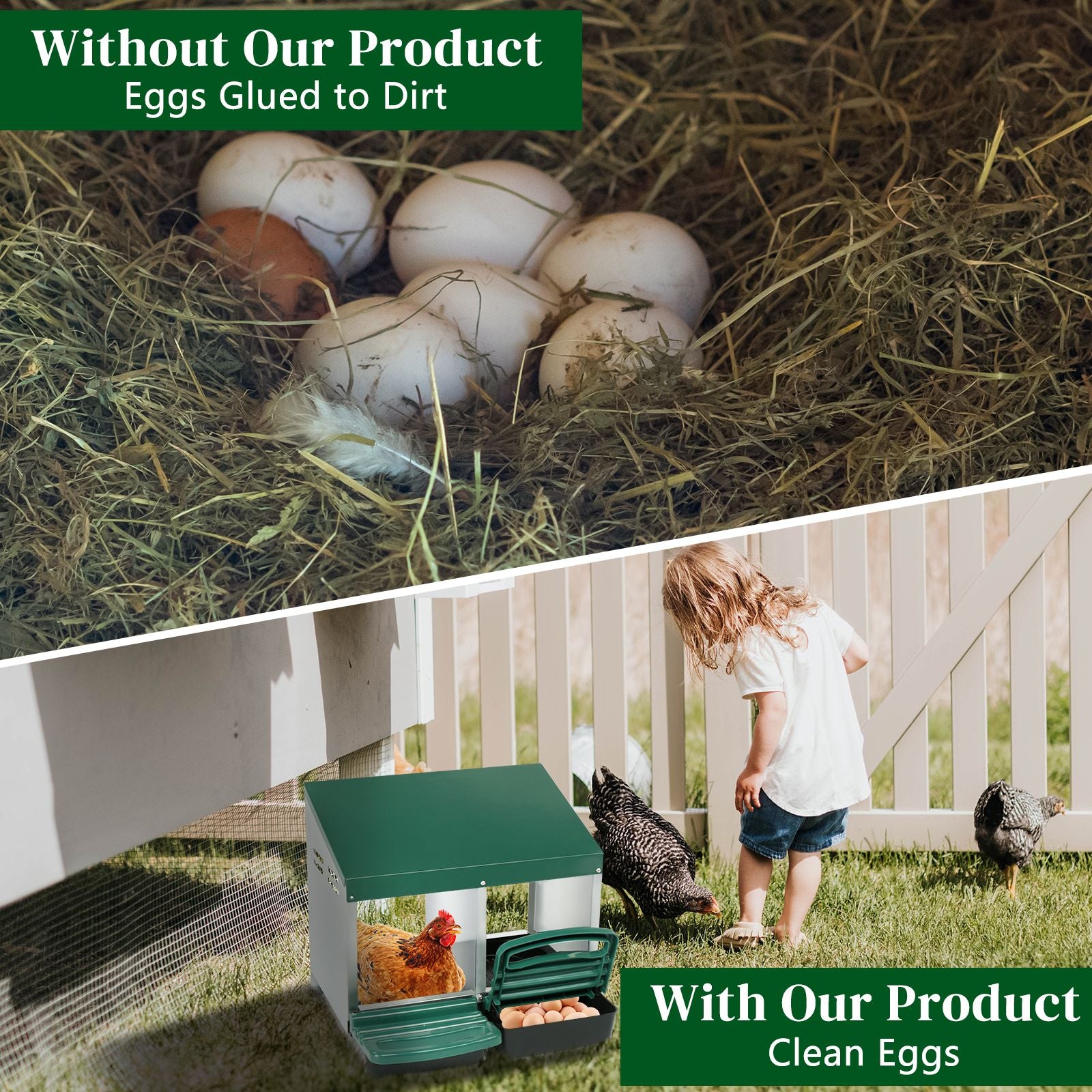 2-Compartment Chicken Nesting Box – Secure & everyday Egg Laying Coop