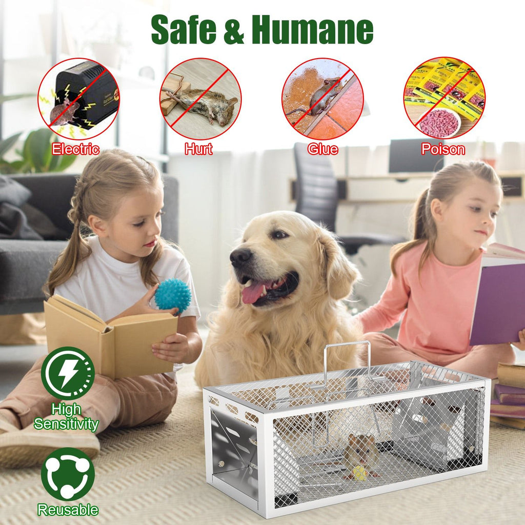 Catch Multiple Mice Continuously with Our Humane Dual-Door Rat Trap