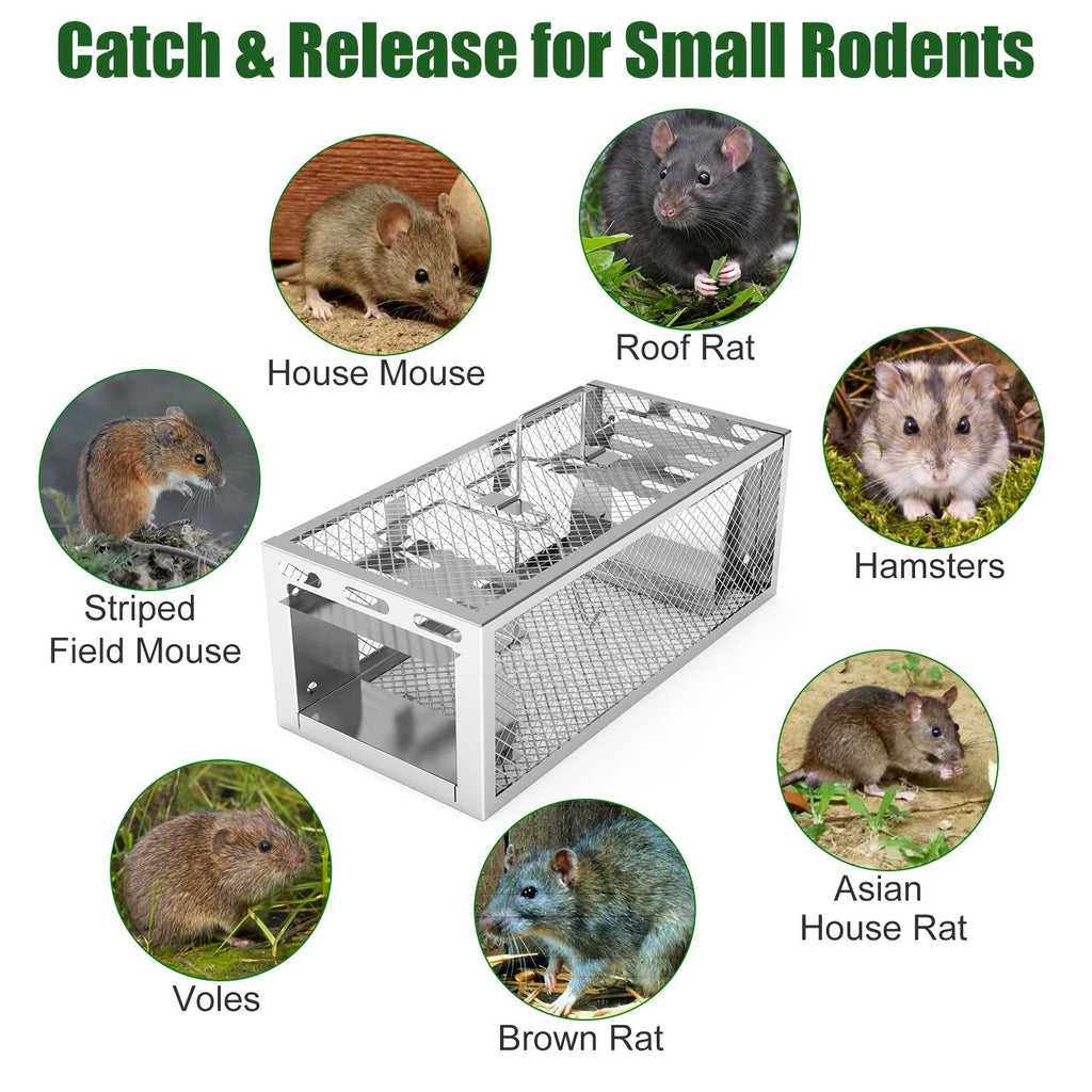 Catch Multiple Mice Continuously with Our Humane Dual-Door Rat Trap