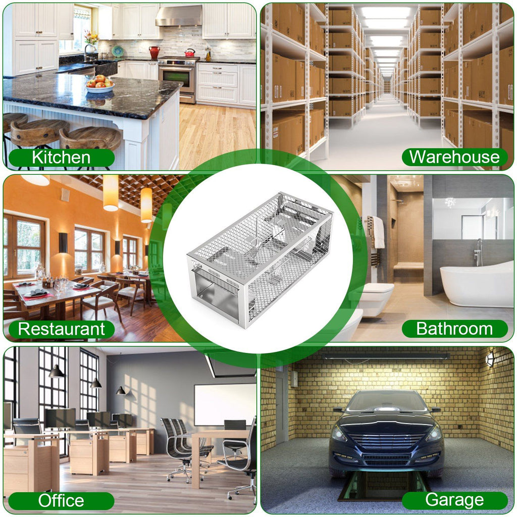 Catch Multiple Mice Continuously with Our Humane Dual-Door Rat Trap