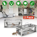 Catch Multiple Mice Continuously with Our Humane Dual-Door Rat Trap