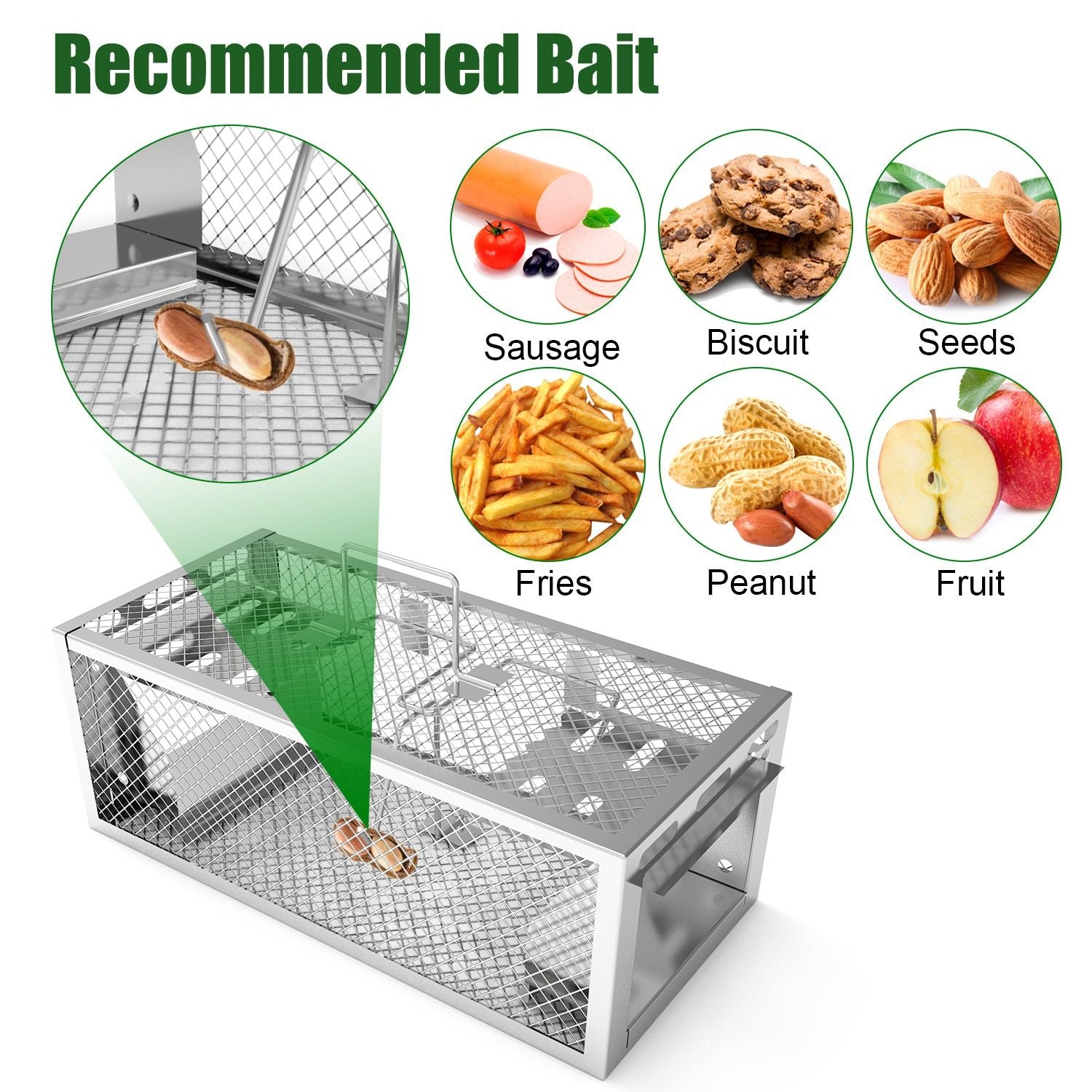 Catch Multiple Mice Continuously with Our Humane Dual-Door Rat Trap