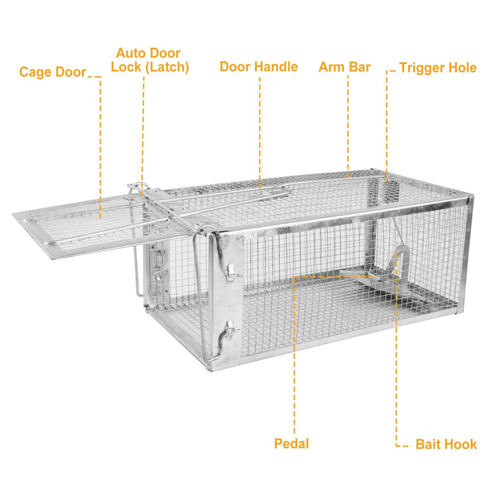 Humane Mouse Trap 2-Pack: Catch & Release Rodents Safely
