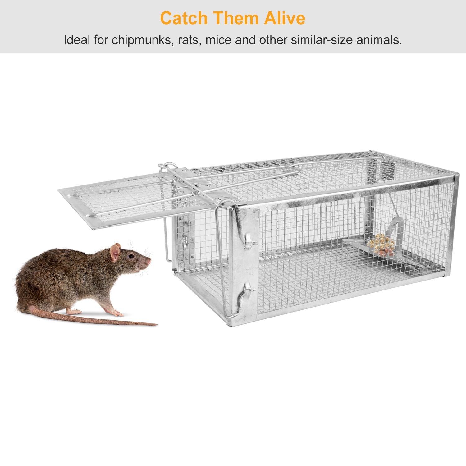 Humane Mouse Trap 2-Pack: Catch & Release Rodents Safely