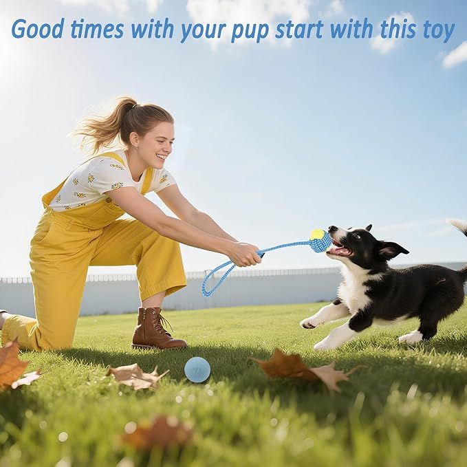 20 Pack Puppy Chew Toys Dog Teething Toys for Puppies