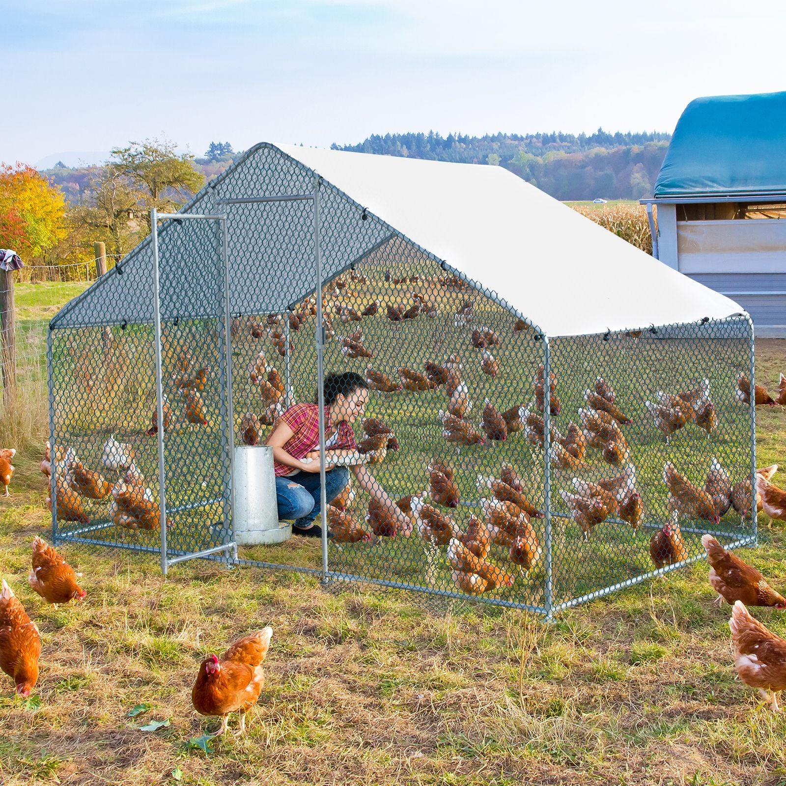 x x Silver Chicken Coop with Pointed Roof and practical PE Cover