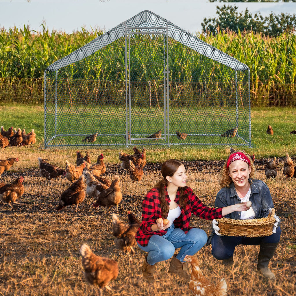 x x Silver Chicken Coop with Pointed Roof and practical PE Cover