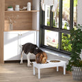 Elevate Your Pet's Mealtime with a Modern Raised Feeding Station
