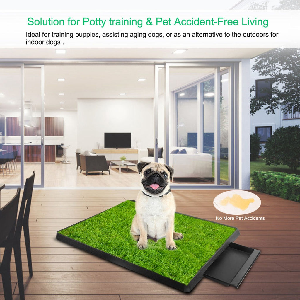 No More Accidents: The Indoor Grass Potty Your Dog Will Love