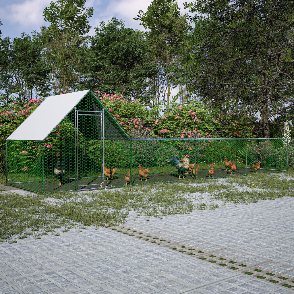 Large Walk-In Poultry Coop for Secure Outdoor Housing