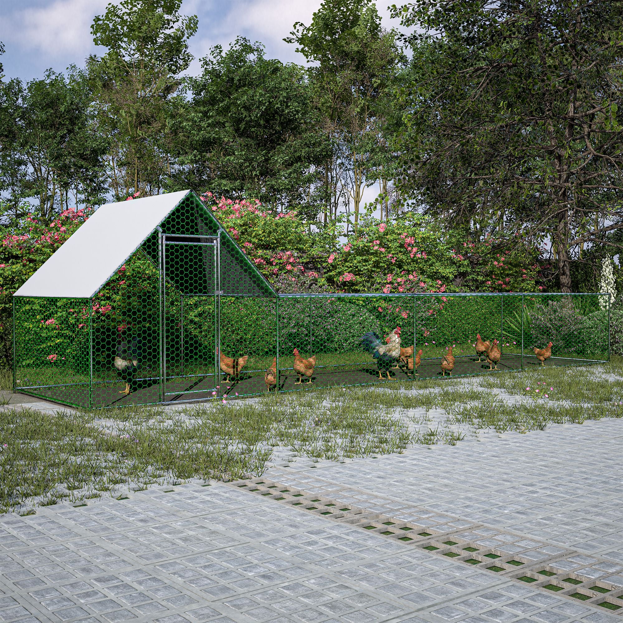 Large Walk-In Poultry Coop for Secure Outdoor Housing