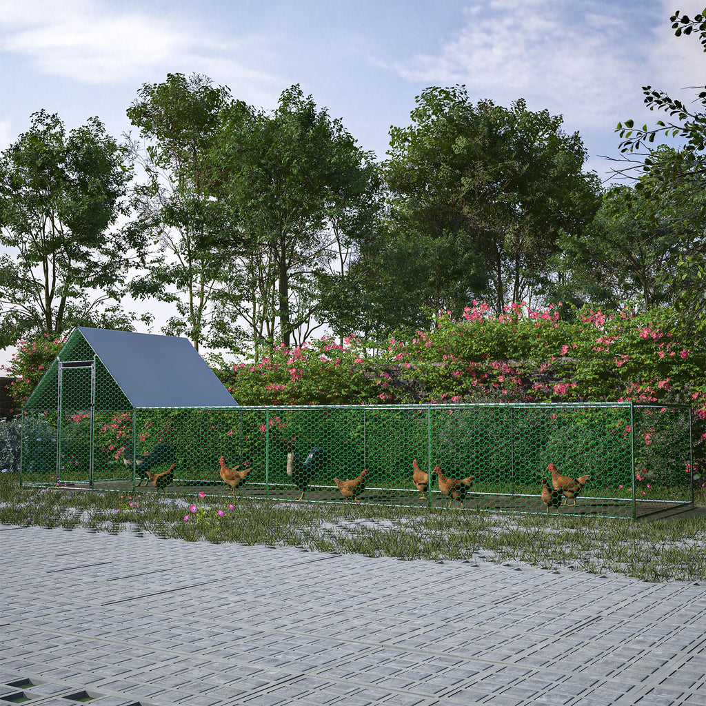 Large Walk-In Poultry Coop for Secure Outdoor Housing