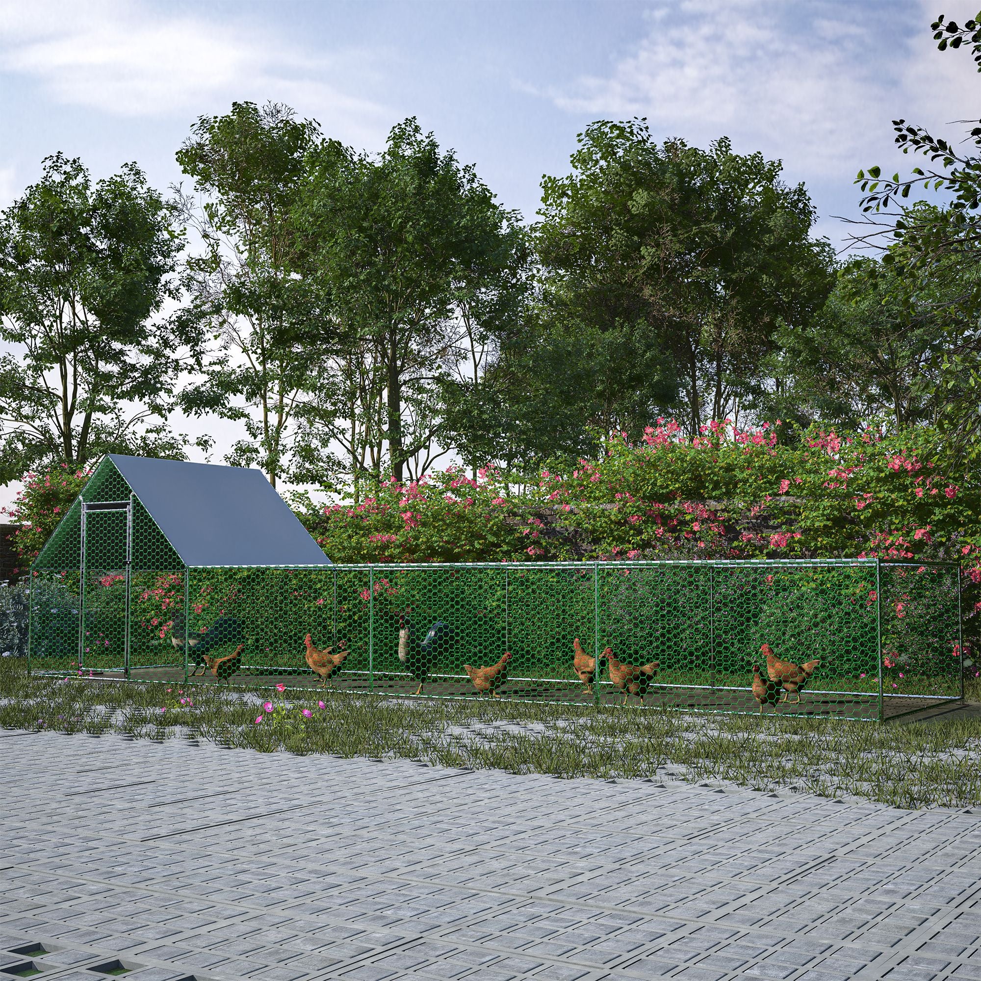 Large Walk-In Poultry Coop for Secure Outdoor Housing