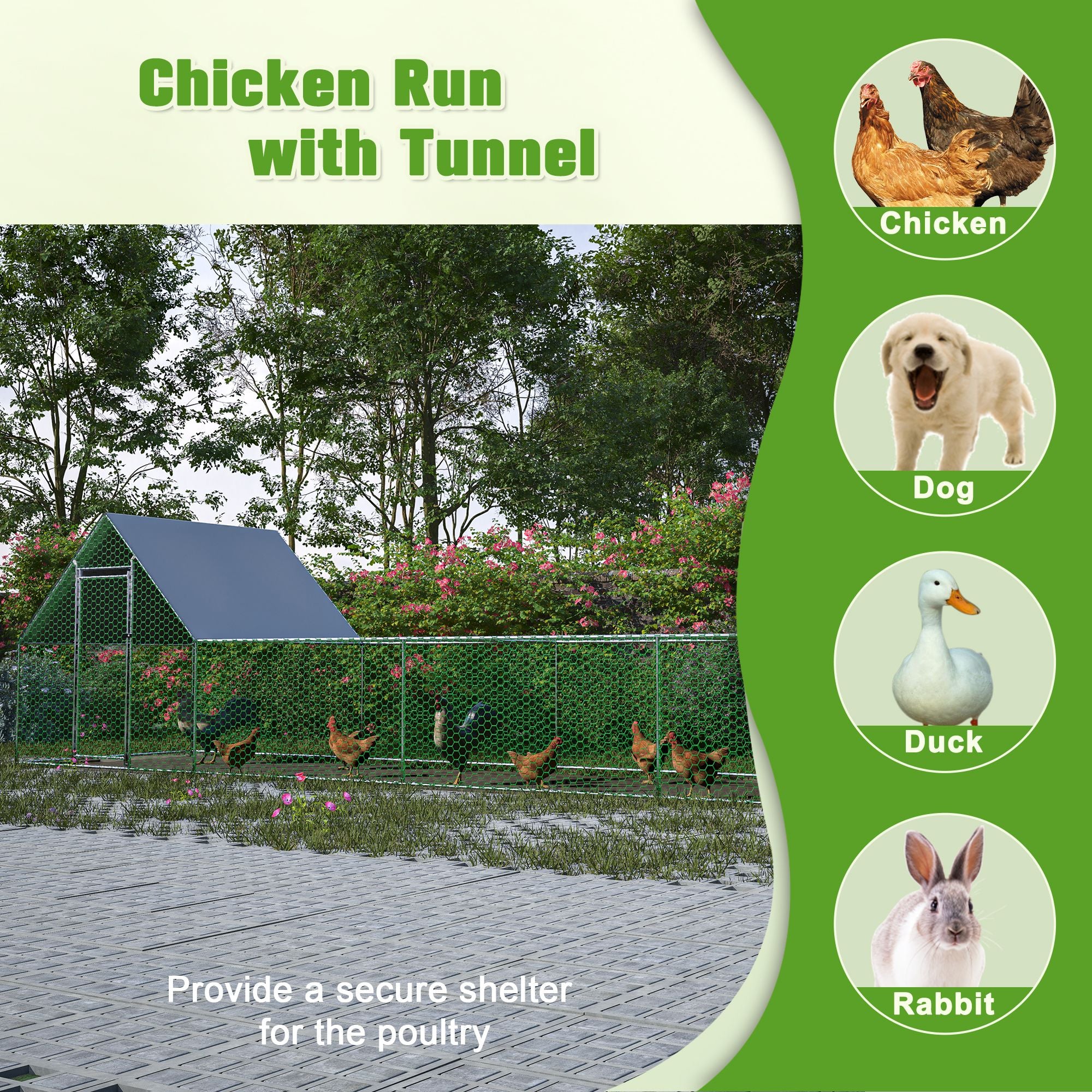 Large Walk-In Poultry Coop for Secure Outdoor Housing
