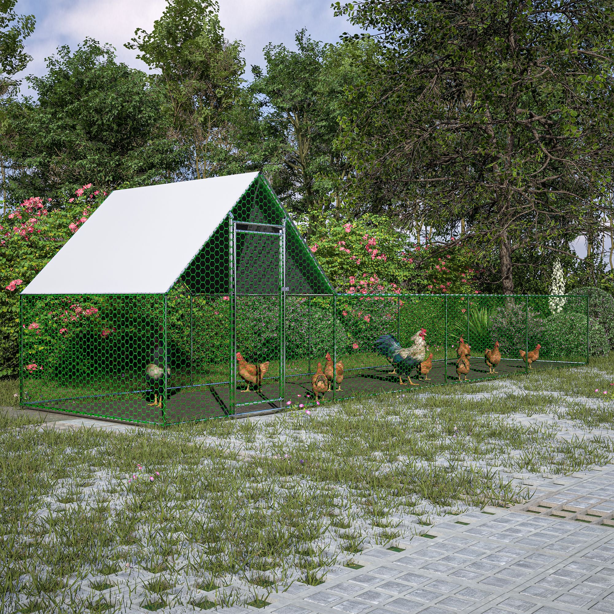 Large Walk-In Poultry Coop for Secure Outdoor Housing