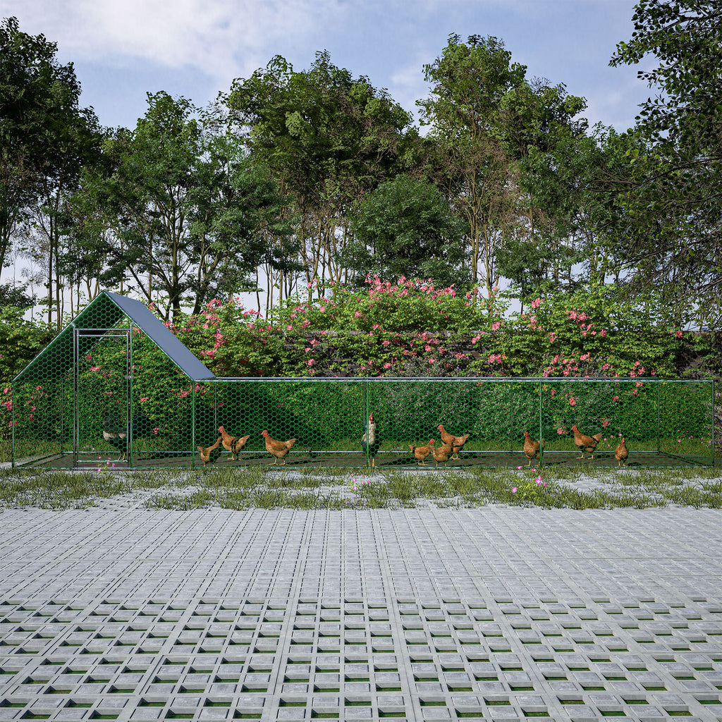 Large Walk-In Poultry Coop for Secure Outdoor Housing