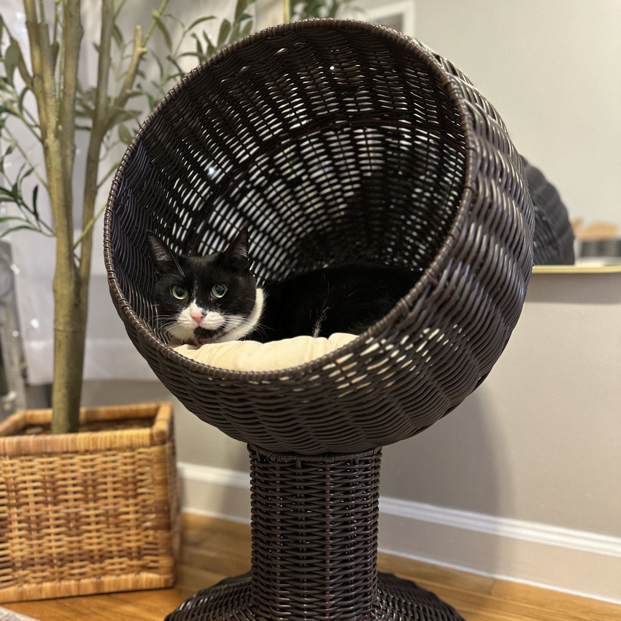 Elevated Cat Bed with Rotatable Egg Chair Pod and Soft Cushion