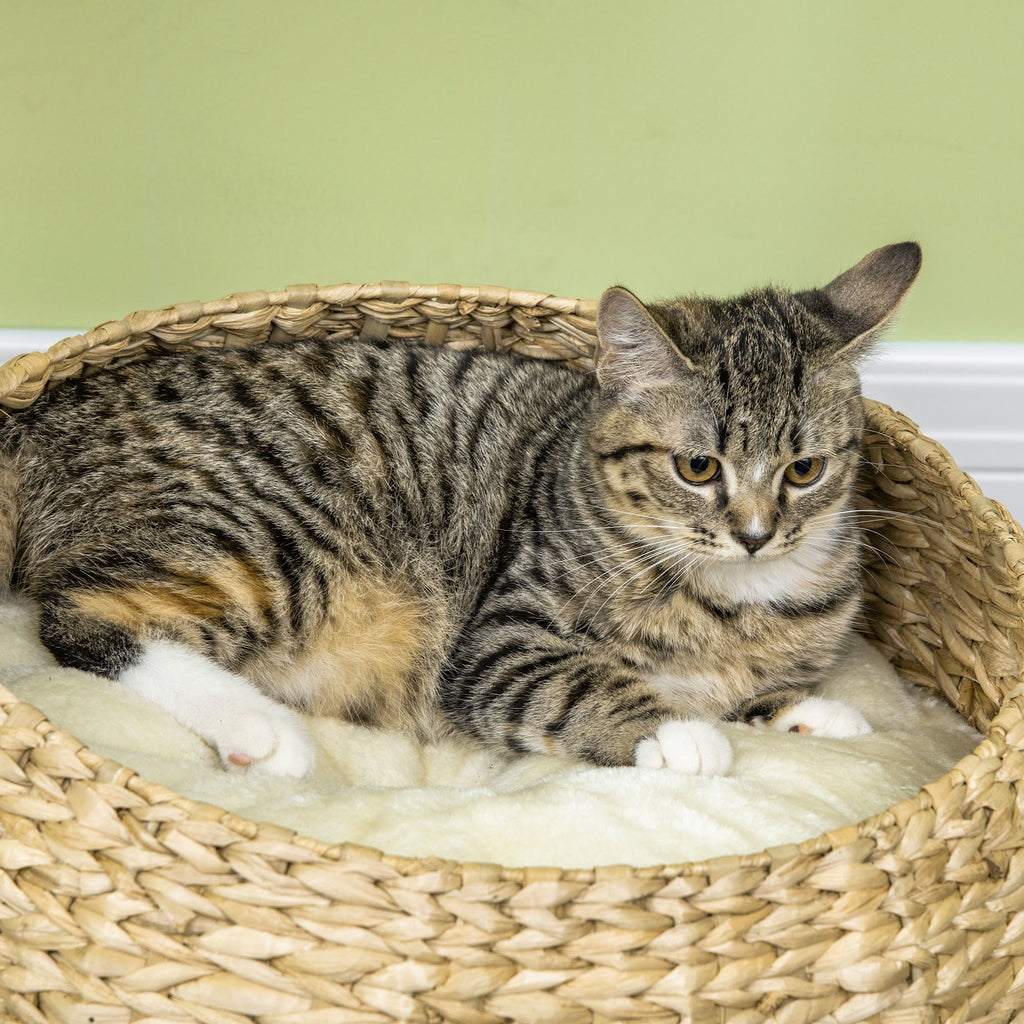 28" Elevated Cat Bed with Sisal Scratching Post for Indoor Kitties, Modern Cat Tree with Cute Basket Design, Small Cat Tree with Fun Ball Toy