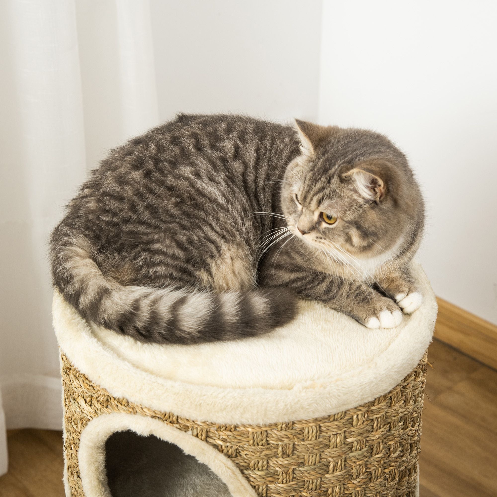 Multi-Level Cat Condo with Scratching Pads and Plush Interior