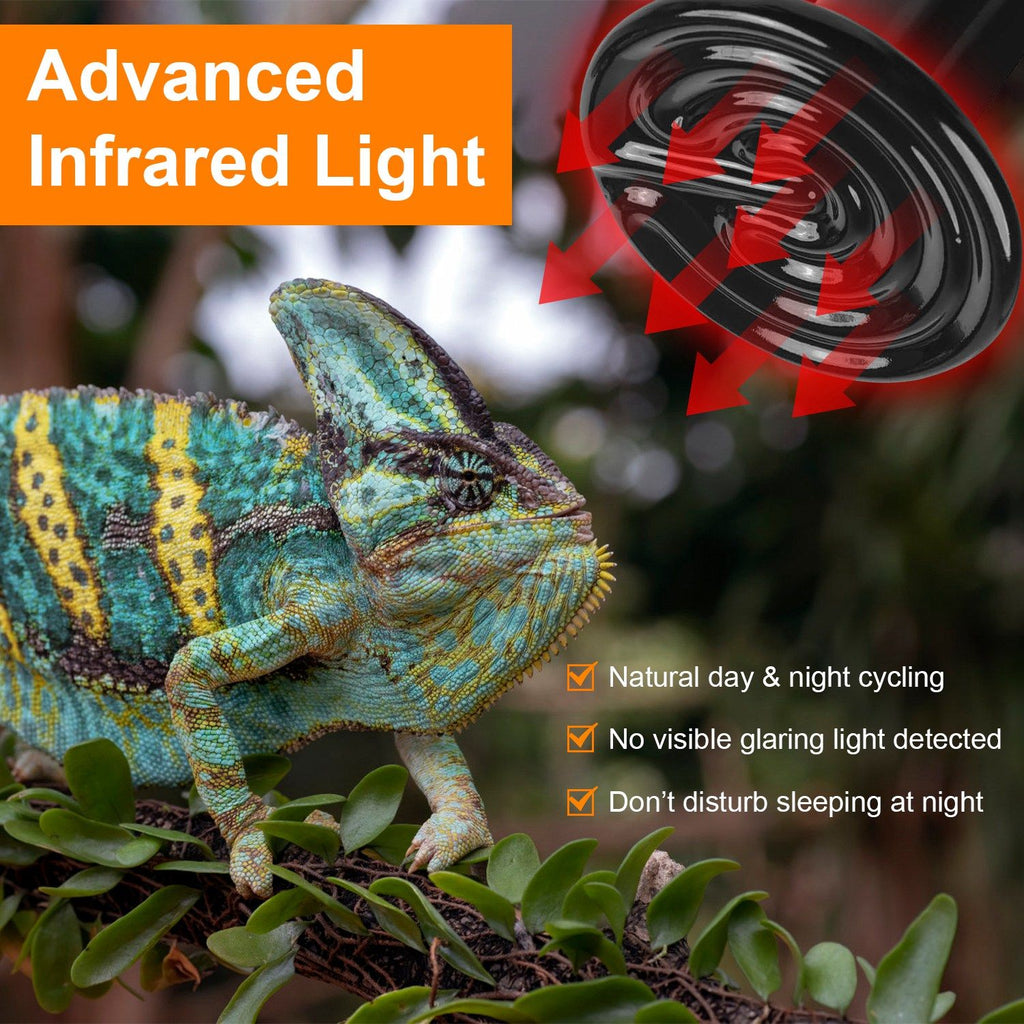 No-Light Infrared Heat Lamp for Reptile Terrariums and Small-Pet Brooders