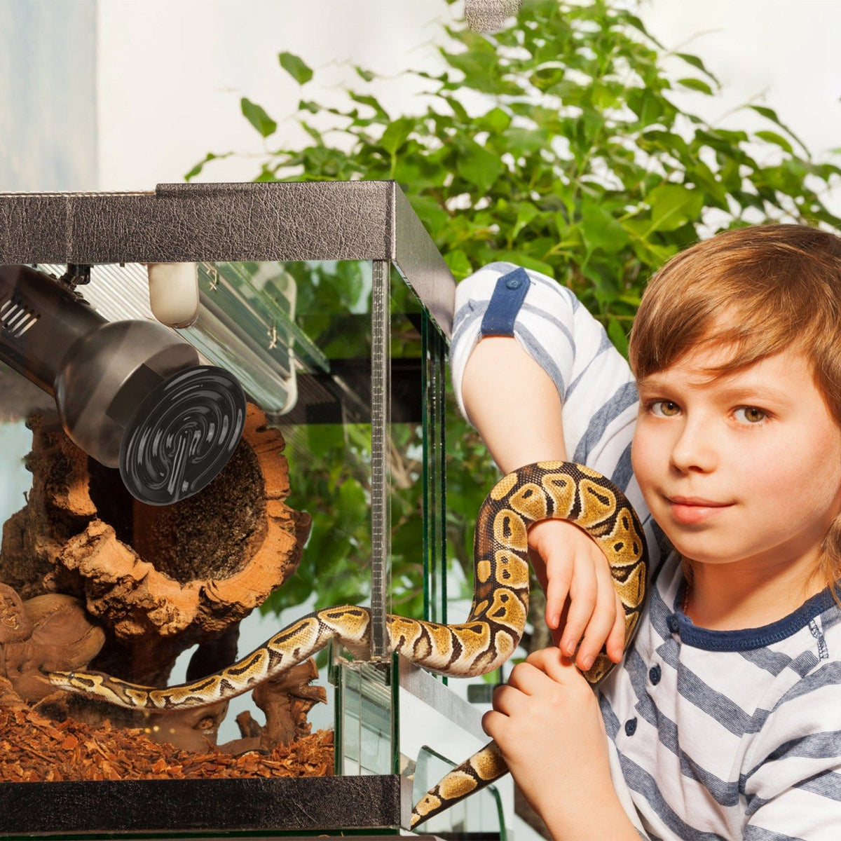 No-Light Infrared Heat Lamp for Reptile Terrariums and Small-Pet Brooders