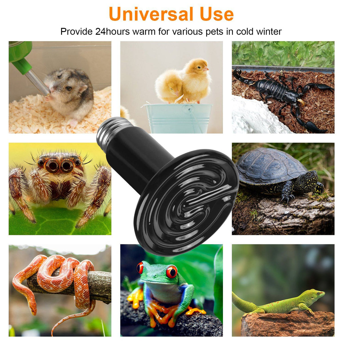 No-Light Infrared Heat Lamp for Reptile Terrariums and Small-Pet Brooders