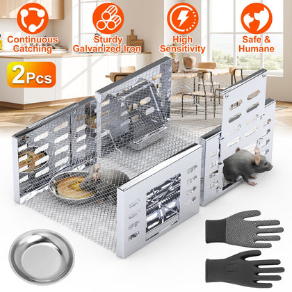 Humane and Reusable Live Mouse Trap with Automatic One-Way Door for Continuous Trapping