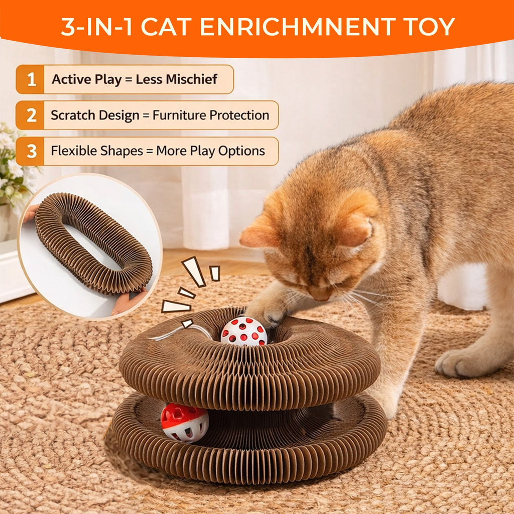 Foldable Accordion Cat Scratcher with Bell Ball – Interactive Fun