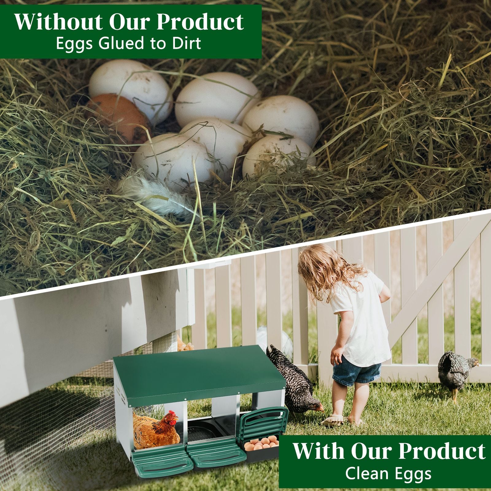 3 Compartment Roll Out Chicken Nesting Box with lightweight Basket