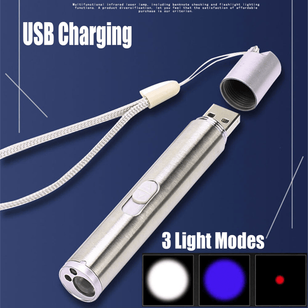 3-in-1 USB Rechargeable Pet Toy Pen with Red Laser, UV Detector & White Flashlight