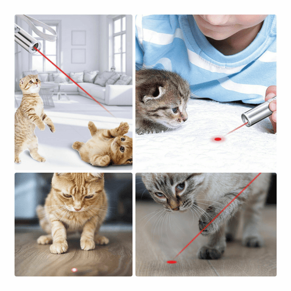 3-in-1 USB Rechargeable Pet Toy Pen with Red Laser, UV Detector & White Flashlight