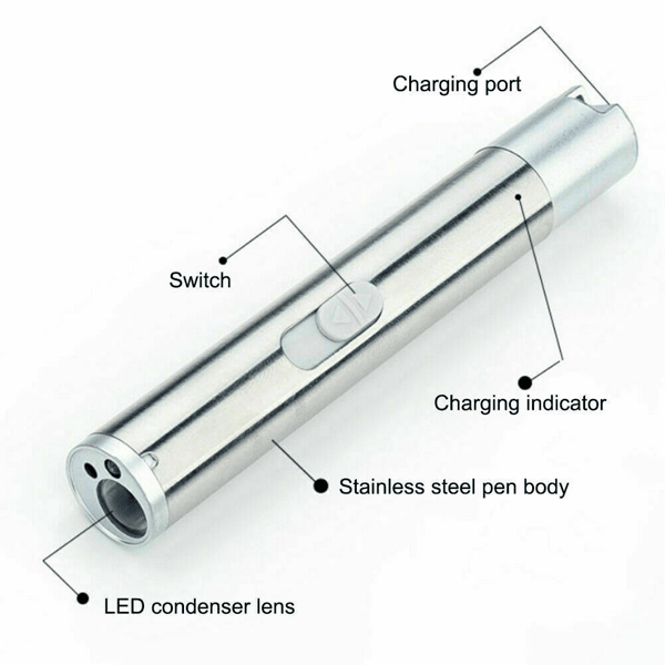 3-in-1 USB Rechargeable Pet Toy Pen with Red Laser, UV Detector & White Flashlight