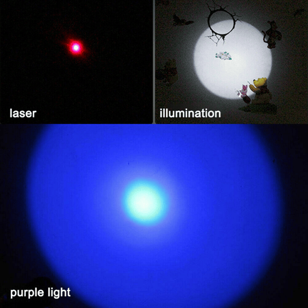3-in-1 USB Rechargeable Pet Toy Pen with Red Laser, UV Detector & White Flashlight