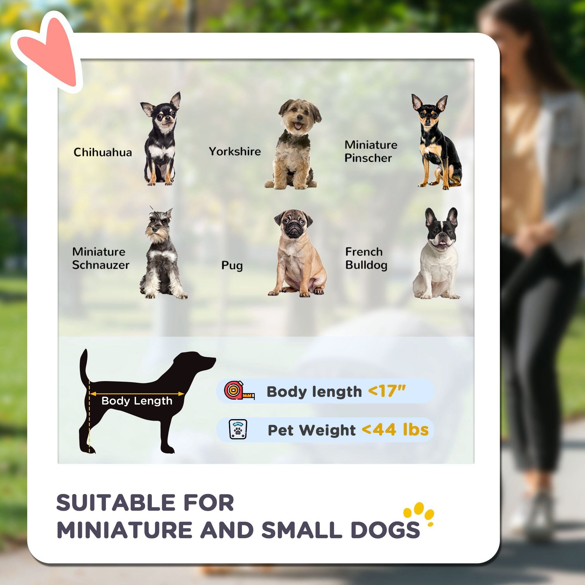 3-Wheel Pet Stroller with Adjustable Canopy & Safety Tether for Small to Medium Dogs