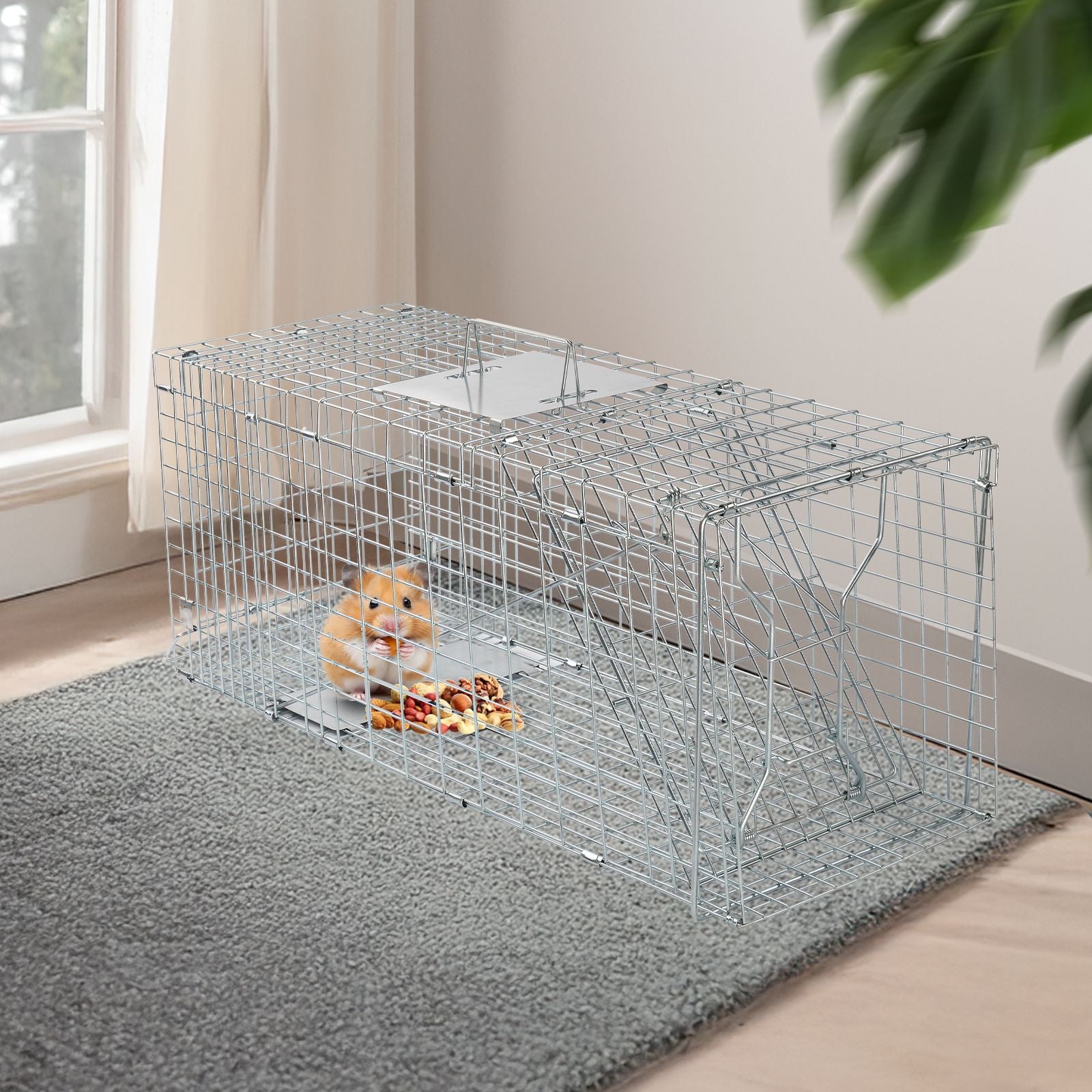 Humane Live Animal Cage Trap – practical Folding Design for Stray Cats, Raccoons, and Groundhogs