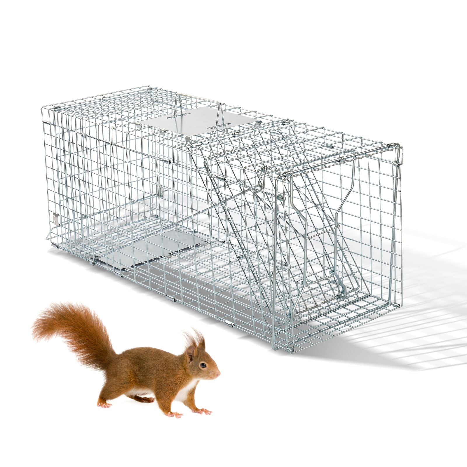 Humane Live Animal Cage Trap – practical Folding Design for Stray Cats, Raccoons, and Groundhogs
