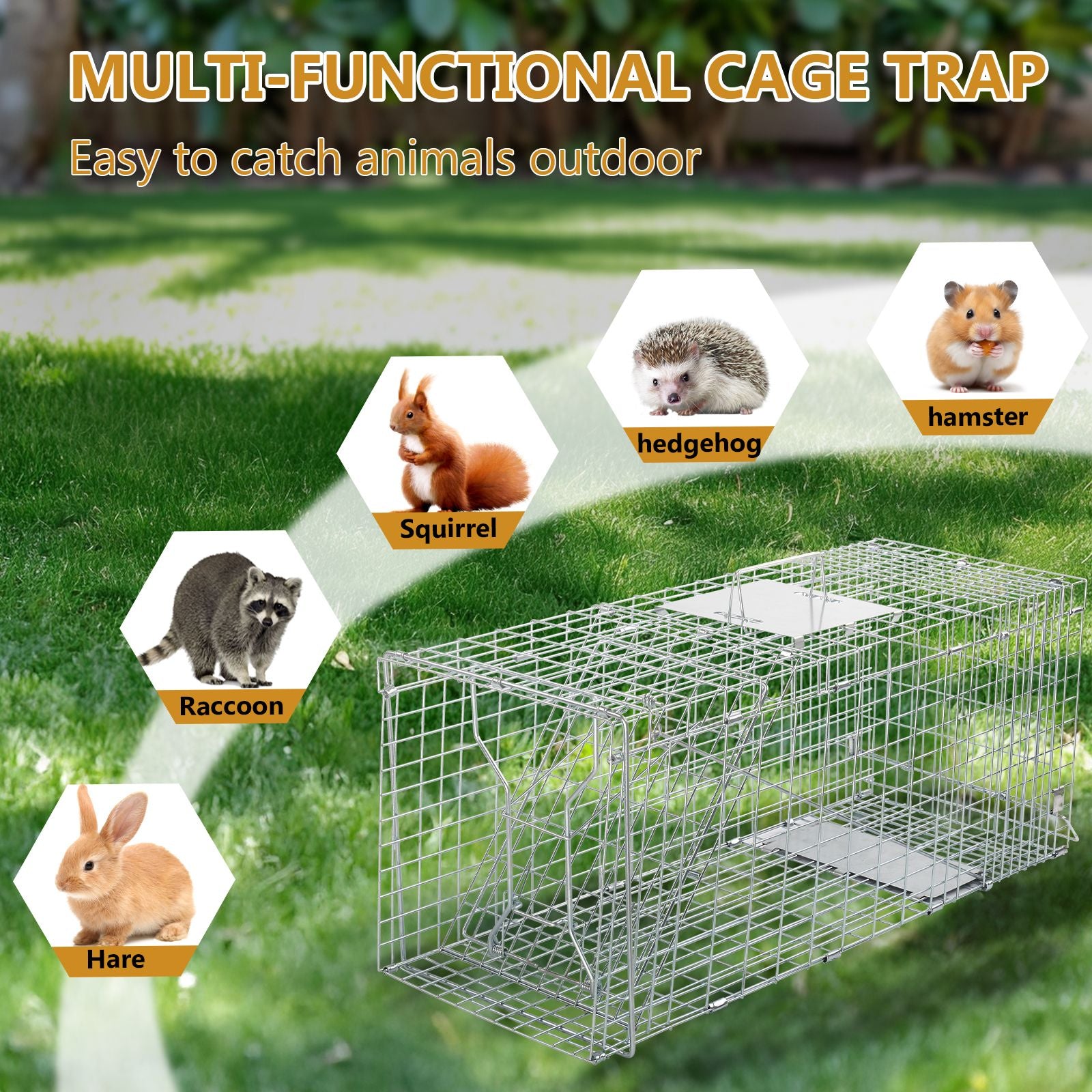 Humane Live Animal Cage Trap – practical Folding Design for Stray Cats, Raccoons, and Groundhogs
