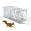Humane Live Animal Cage Trap – practical Folding Design for Stray Cats, Raccoons, and Groundhogs