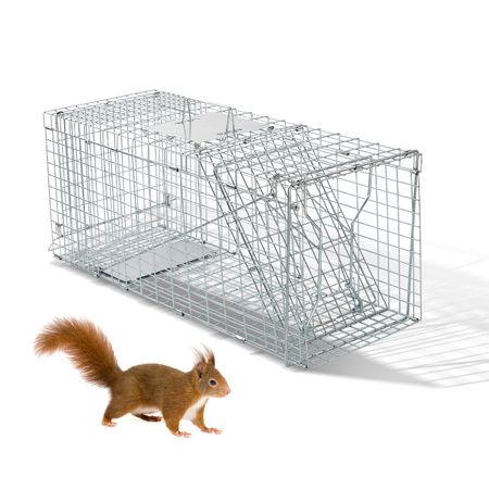Humane Live Animal Cage Trap – practical Folding Design for Stray Cats, Raccoons, and Groundhogs