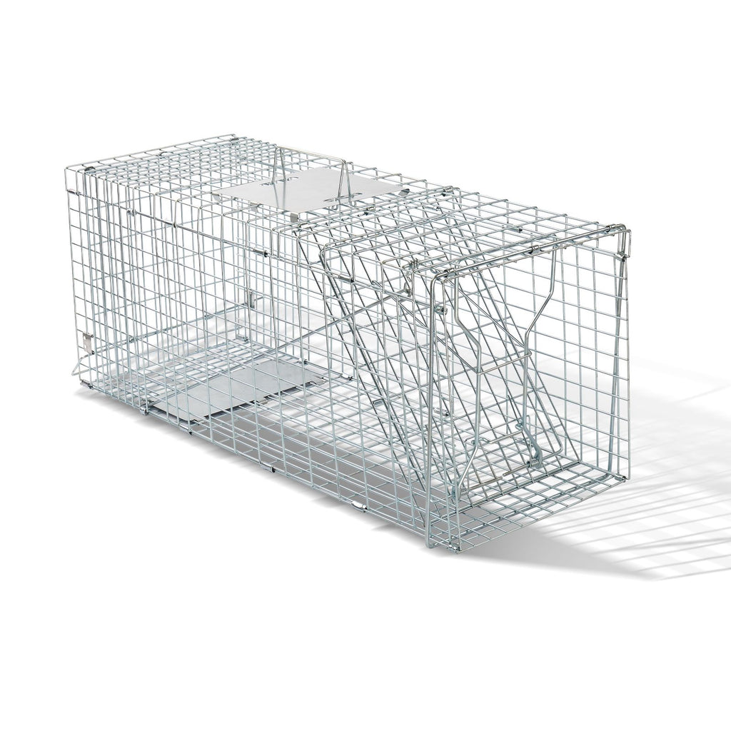 Humane Live Animal Cage Trap – practical Folding Design for Stray Cats, Raccoons, and Groundhogs