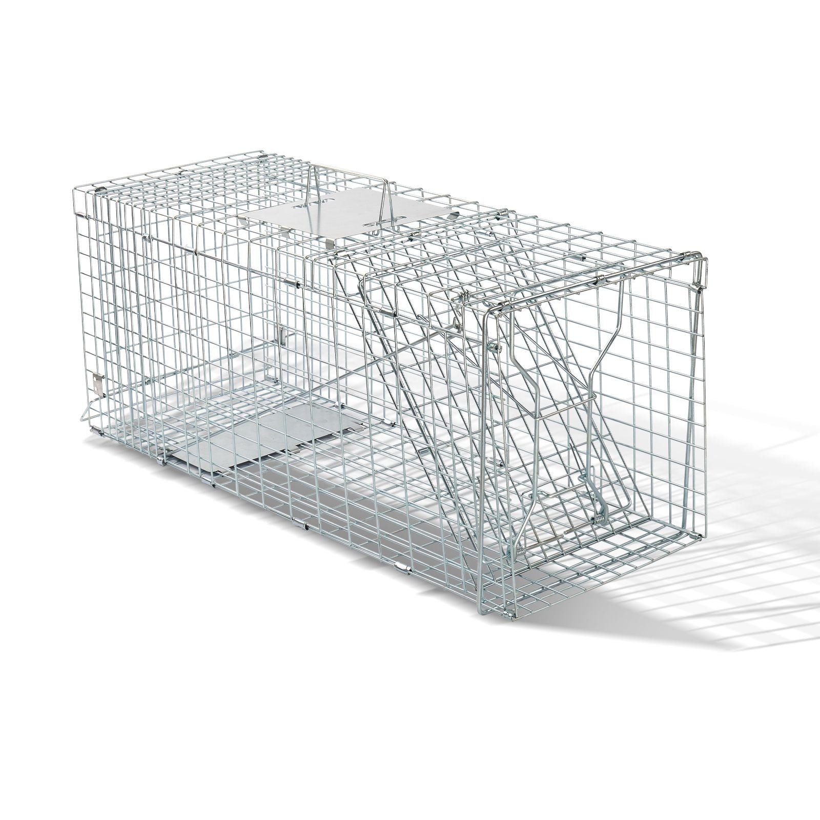 Humane Live Animal Cage Trap – practical Folding Design for Stray Cats, Raccoons, and Groundhogs